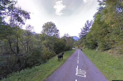 Opletten: veel dieren op de weg van de Col d’Agnès.